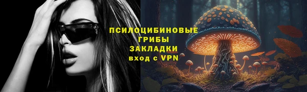 ALPHA-PVP Алексеевка