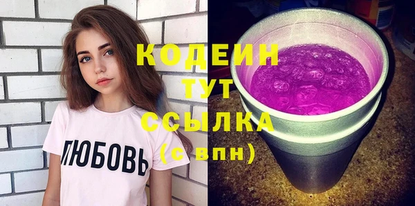 хмурый Алзамай