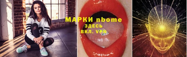 хмурый Алзамай